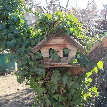 Ferienhaus Witta Villa Радебойл Екстериор снимка