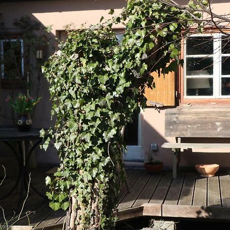 Ferienhaus Witta Villa Радебойл Екстериор снимка